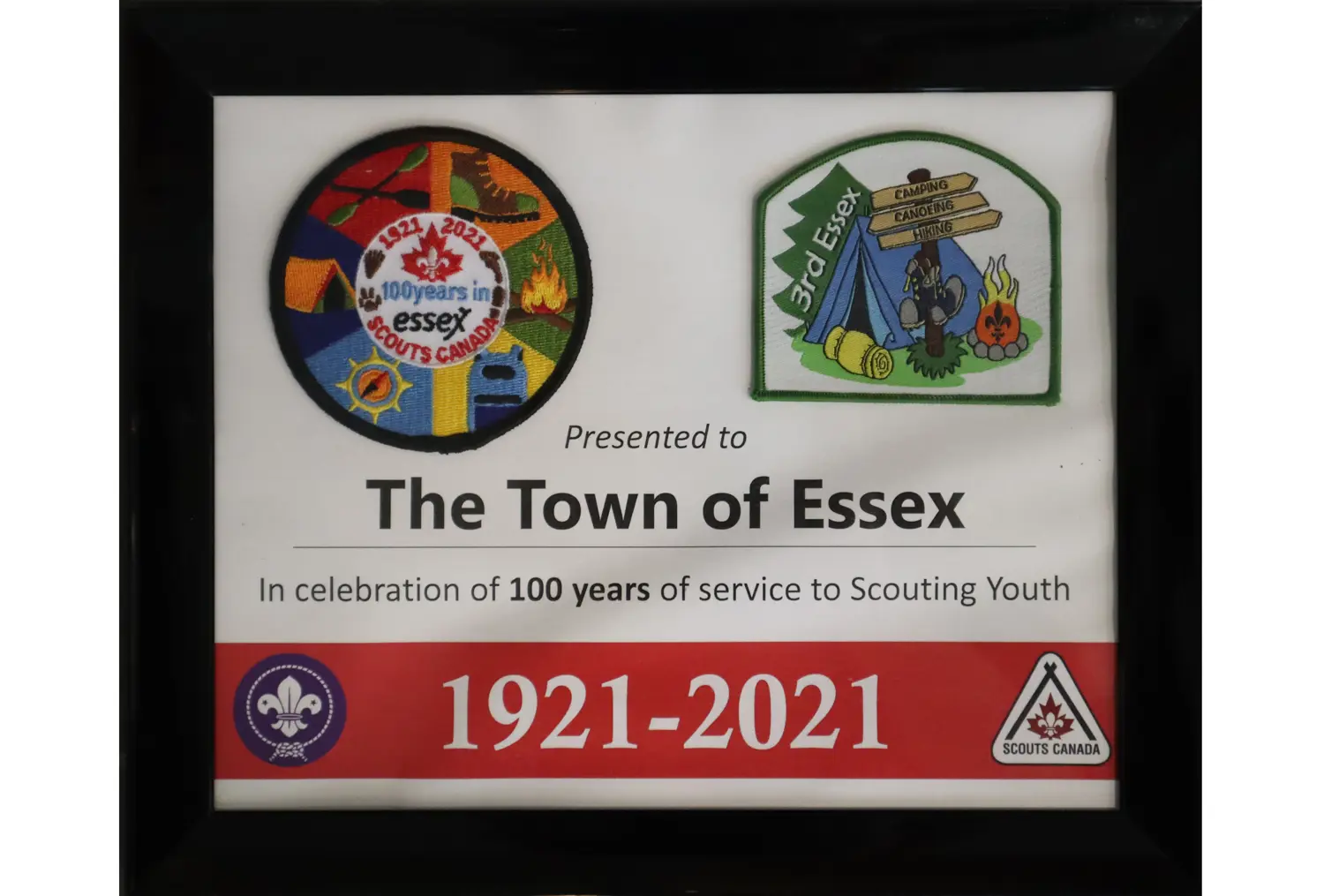 100 Years of Service to Scouting Youth Award