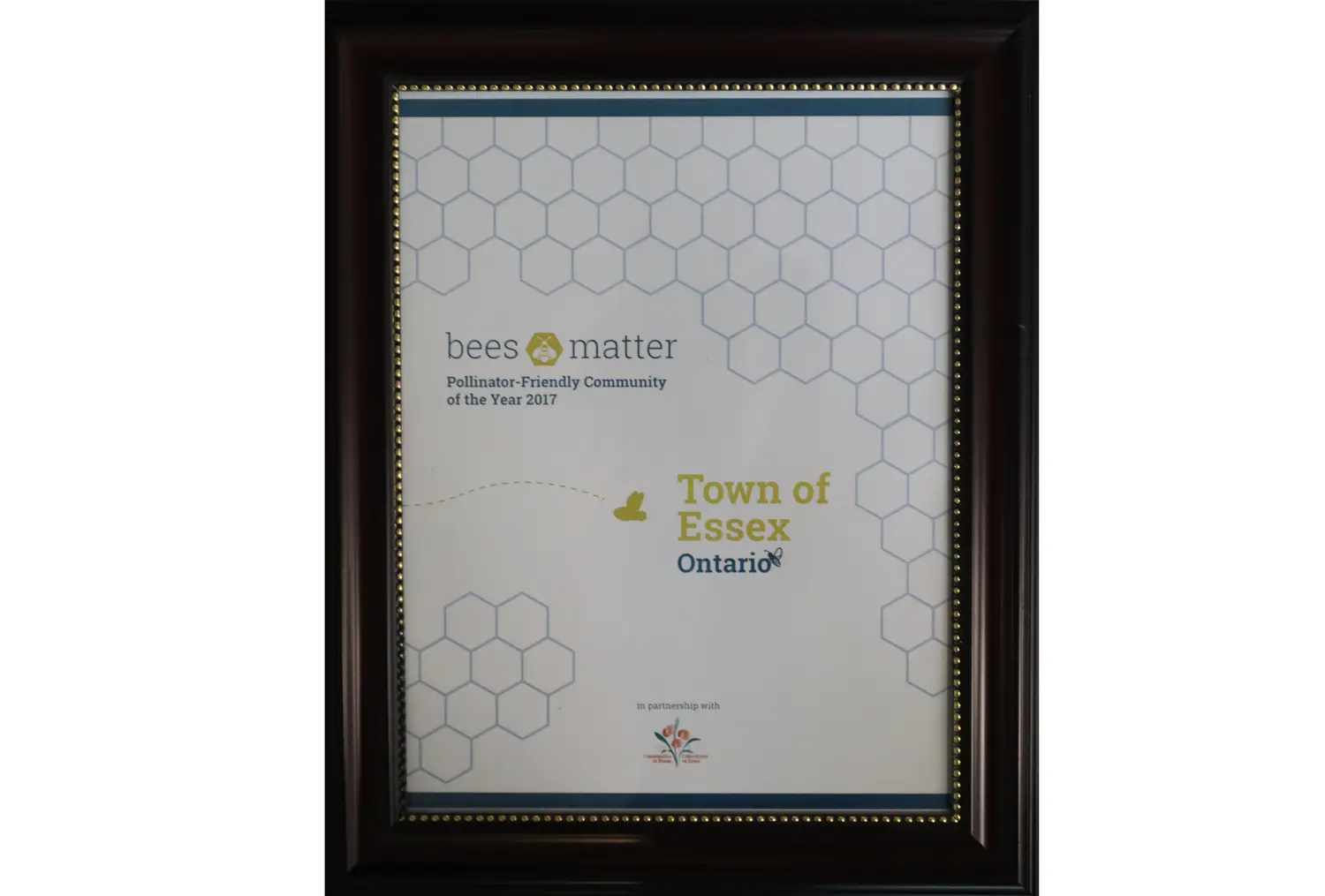 Pollinator-Friendly Community of the Year award