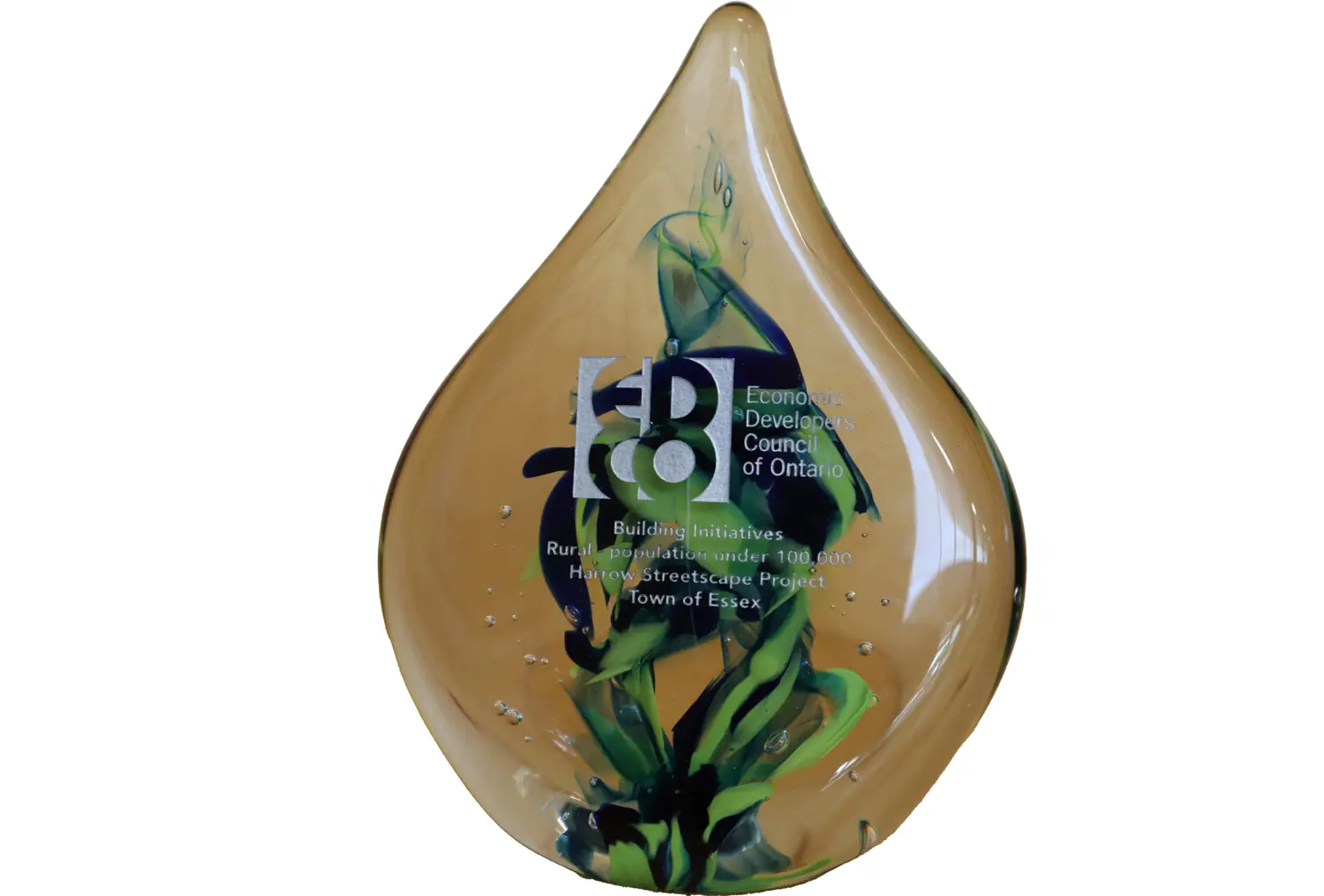 Building Initiative Award