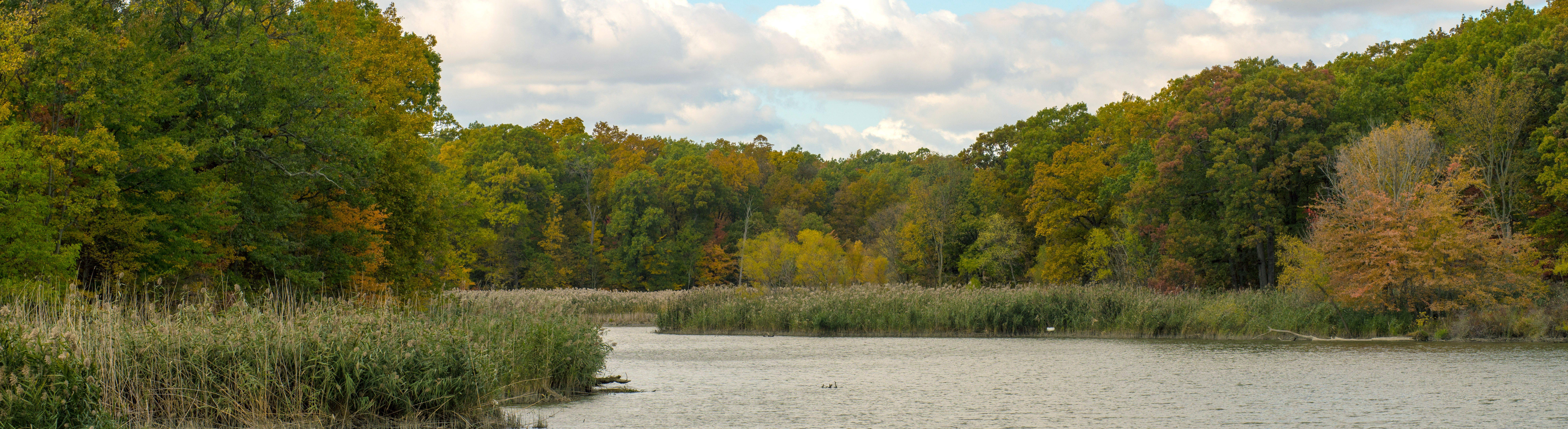 Photo of Cedar Creek in Essex, Ontario