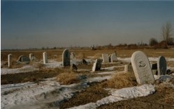 Gravestones in snowy graveyard